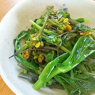 コウサイタイ（紅菜苔）のめんつゆ和え